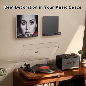 Vinyl Record Holder, 2Pack Wall Mount Vinyl Record Storage Holder, Heavy Duty Now Playing Metal Vinyl Record Display Shelf, Fits 20 LP's Vinyl Records Organizer Stand, Black