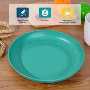 Benestanti Wheat Straw Plates - 10 Inch Unbreakable Dinner Plates Set of 8- Dishwasher & Microwave Safe Plastic Plates Reusable - Lightweight Plates for kitchen,camping (Colorful Series)