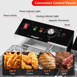 Commercial Deep Fryer with Baskets Stainless Steel Double Deep Fryer with 2 Baskets Capacity 10L X 2(21.2QT) Electric Countertop Fryer for Restaurant and Home Use, 110V 3400W