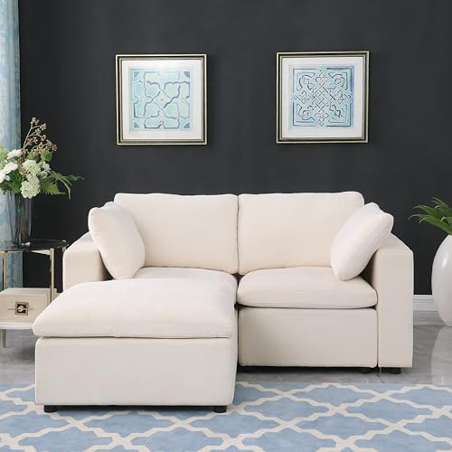 2 Seater Love Seat Modular Sectional Sofa with Ottoman, Chenille Upholstered Cloud Couch Full Foam Cushions Loveseat with Pillows for Home, Apartment Living Room