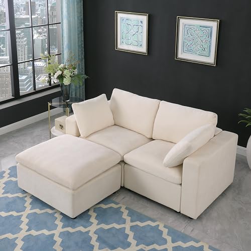 2 Seater Love Seat Modular Sectional Sofa with Ottoman, Chenille Upholstered Cloud Couch Full Foam Cushions Loveseat with Pillows for Home, Apartment Living Room