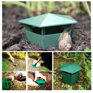 Generic Snail Home Simulate Natural Environment, Snail Habitat Breezy, Garden Snail House Easy to Observe, Warm House for Courtyard Maintain Humidity, Temperature, green