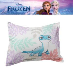 Franco Frozen 2 Kids Bedding Super Soft Premium Organic Cotton Duvet Cover with Sham, 2 Piece Twin Size, (Officially Licensed Product)