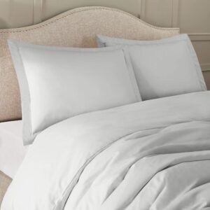 Rineni Duvet Cover 2 Pillow Shams - Twin (64 x 88) Inches - Egyptian Cotton 800 Thread Count Comforter Cover Zipper Closure 3 Pieces Silver Gray Duvet Covers Set