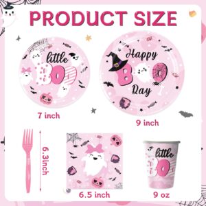 Happy BOO Day Birthday Party Decorations Set, Pink Halloween Birthday Plates,Napkins and Cups,Halloween Birthday Party Decorations for Girl, Girl Halloween Birthday Party Decorations,Serve 20 Guest.