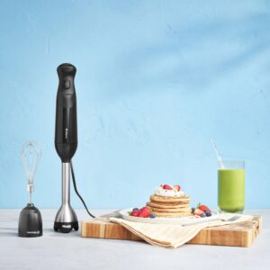 Vitamix 2-Speed Immersion Blender + Whisk, Black