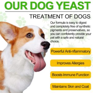 Natural Yeast Infection Treatment for Dogs - Effective Dog Ear Infection Treatment & Allergy Relief, Reduces Inflammation, Alleviates Itching, Combats Infections, Improves Coat & Skin