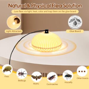 Flea Traps for Inside Your Home, 2 Pack Flea Trap Light with 4 Sticky Discs & 6 Bulbs, Shell Shape Electric Flea Killer Bed Bug Trap, Natural Indoor Pest Control Trap for Home, Safe to Pet & Child