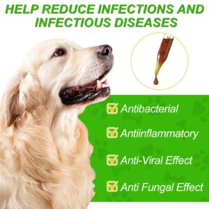 Natural Yeast Infection Treatment for Dogs - Effective Dog Ear Infection Treatment & Allergy Relief, Reduces Inflammation, Alleviates Itching, Combats Infections, Improves Coat & Skin