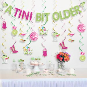 Martini Themed Party Decorations A Tini Bit Older Banner Martini Bar Hanging Swirls Tini Bar Themed Margarita Martini Cocktail Birthday Wedding Engagement Bachelorette Party Whirls Ceiling Swirls