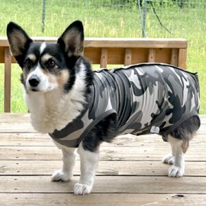 Dog Recovery Suit,Recovery Suit for Dogs After Surgery,Dog Onesie for Surgery Male and Female,Abdominal Wounds Post Surgical Recovery,Prevent Licking Surgical Wound Dog Cone Alternative,Camouflage,M