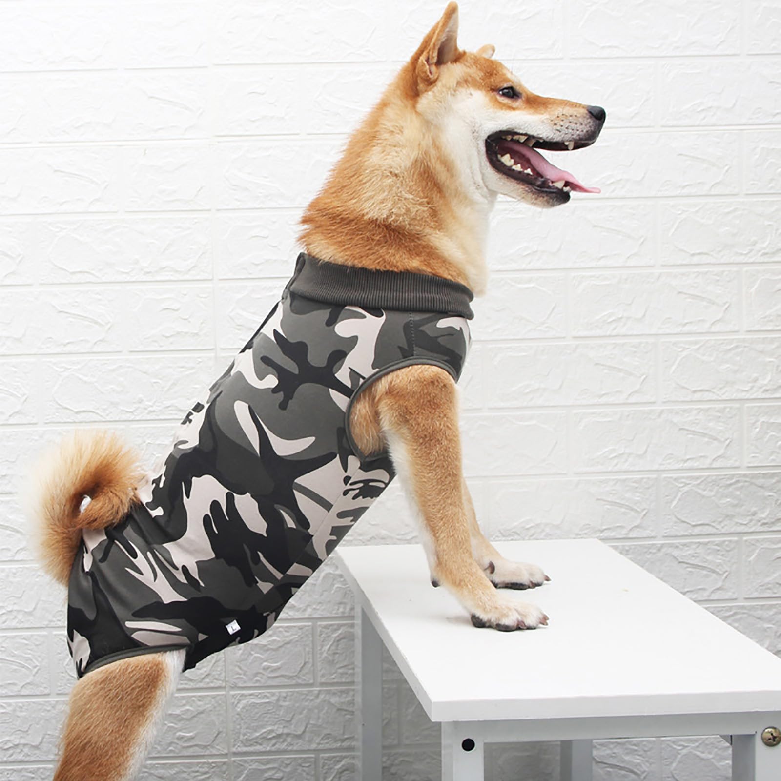 Dog Recovery Suit,Recovery Suit for Dogs After Surgery,Dog Onesie for Surgery Male and Female,Abdominal Wounds Post Surgical Recovery,Prevent Licking Surgical Wound Dog Cone Alternative,Camouflage,M