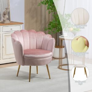 hegmentine Modern Accent Home Office Chair Desk Chair Task Vanity Chair Makeup Chairs Velvet Living Room, Bedroom…(Iceberry Pink)