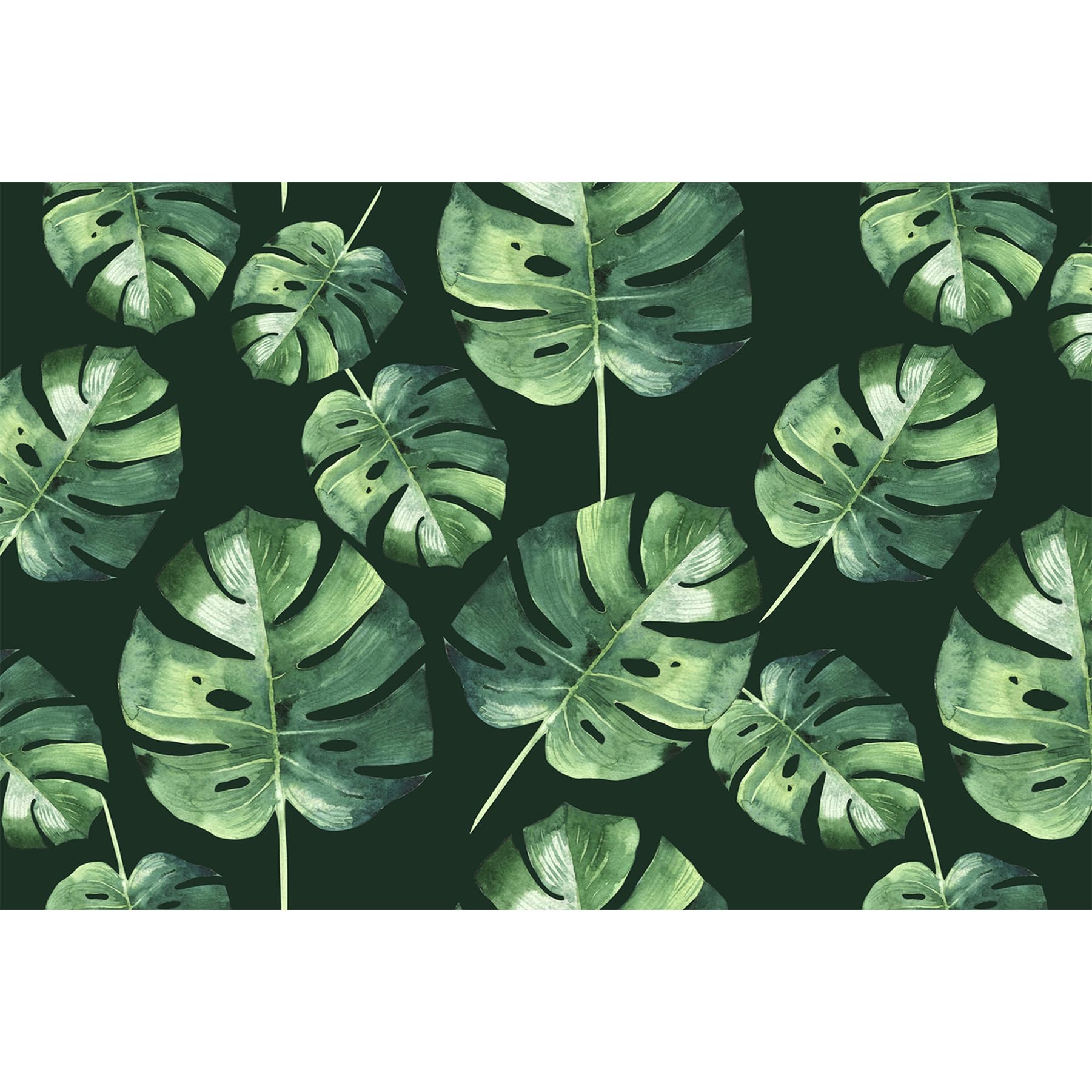 Oerdan 24"x36" Area Rugs - Loop Pile Washable Rug, Anti Slip Tropical Leaves Palm Leaves Rugs for Living Room, Bedroom Area Rugs