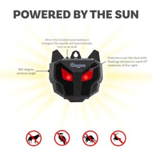 Sunnydaze Wall-Mounted Solar Nocturnal Animal Repellers - Waterproof Design - Red Flashing Lights - Battery Included - 2-Pack