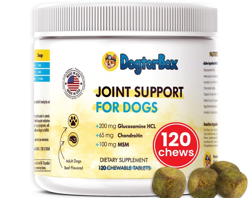 Dogtor Box Vet-Formulated All-Natural Joint Supplement for Dogs with Glucosamine, Chondroitin, MSM, Collagen - 120 Soft Chews Proudly Made in USA