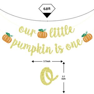 Our Little Pumpkin is One Banner, Little Pumpkin 1st Birthday Decorations, Fall First Birthday Banner, Fall Pumpkin Baby Shower Birthday Party Decorations, Gold Glitter