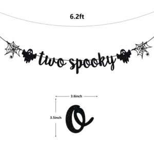 Two Spooky Banner, Halloween 2nd Birthday Party Decor, Two Spooky Birthday Decorations, Halloween Birthday Baby Shower Party Decorations, Black Glitter