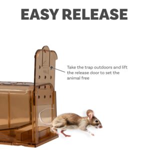 Sunnydaze Humane Mouse Trap - Indoor for Home - Outdoor Mouse Traps - Child and Pet Safe - Reusable - 2-Pack