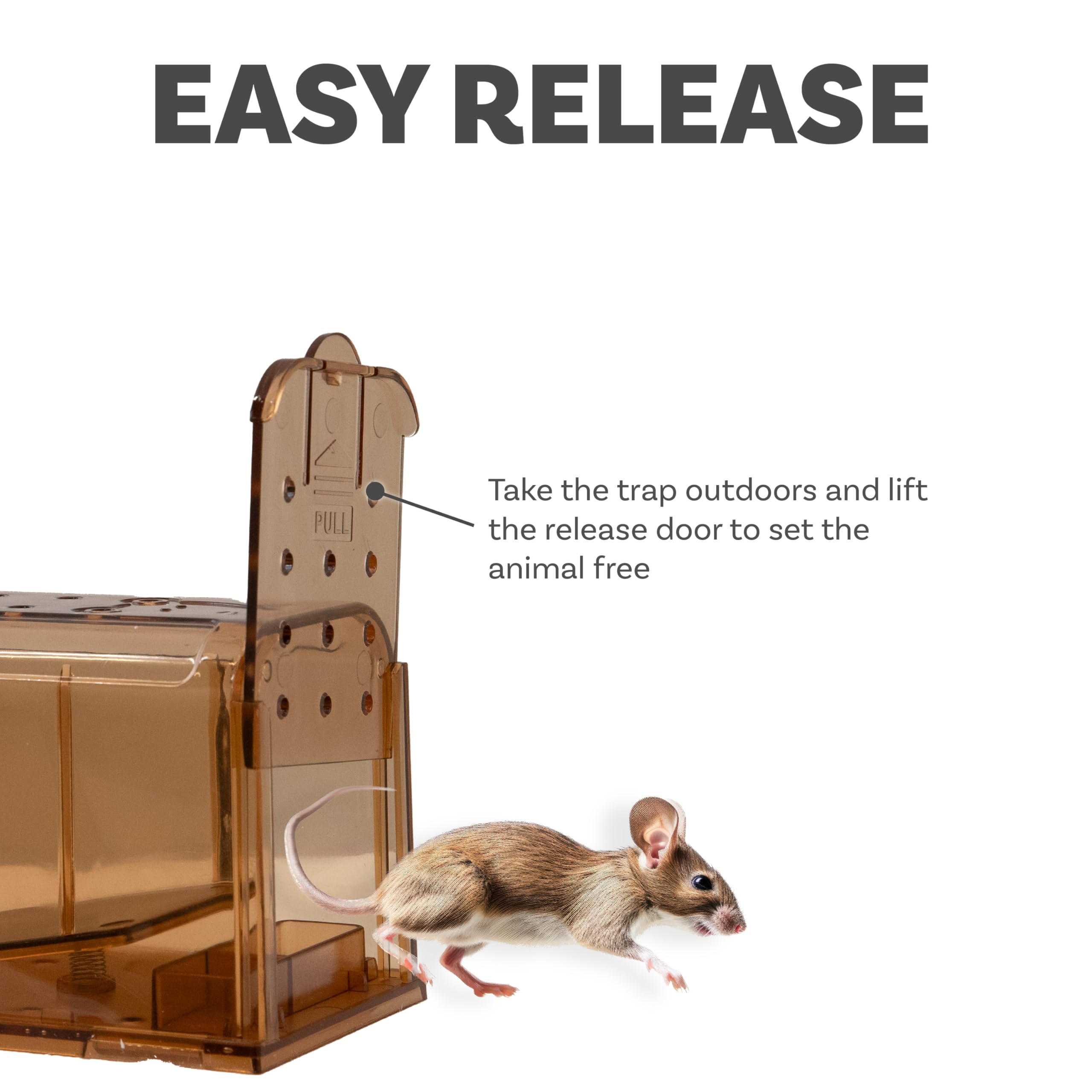 Sunnydaze Humane Mouse Trap - Indoor for Home - Outdoor Mouse Traps - Child and Pet Safe - Reusable - 2-Pack