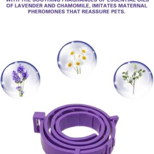 Calming Collar for Cats, for 60-Days with Fast-Acting Pheromones for Anxiety and Stress Relief, Provides Long-Lasting Comfort, Keeps Your Cat Calm and Relaxed, Lavender Aromatherapy