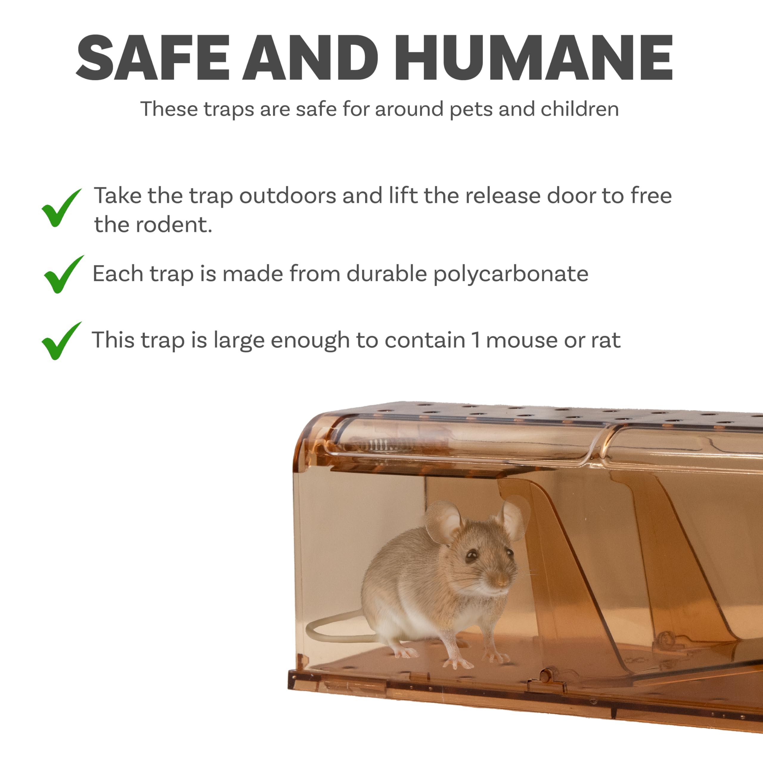 Sunnydaze Humane Mouse Trap - Indoor for Home - Outdoor Mouse Traps - Child and Pet Safe - Reusable - 2-Pack