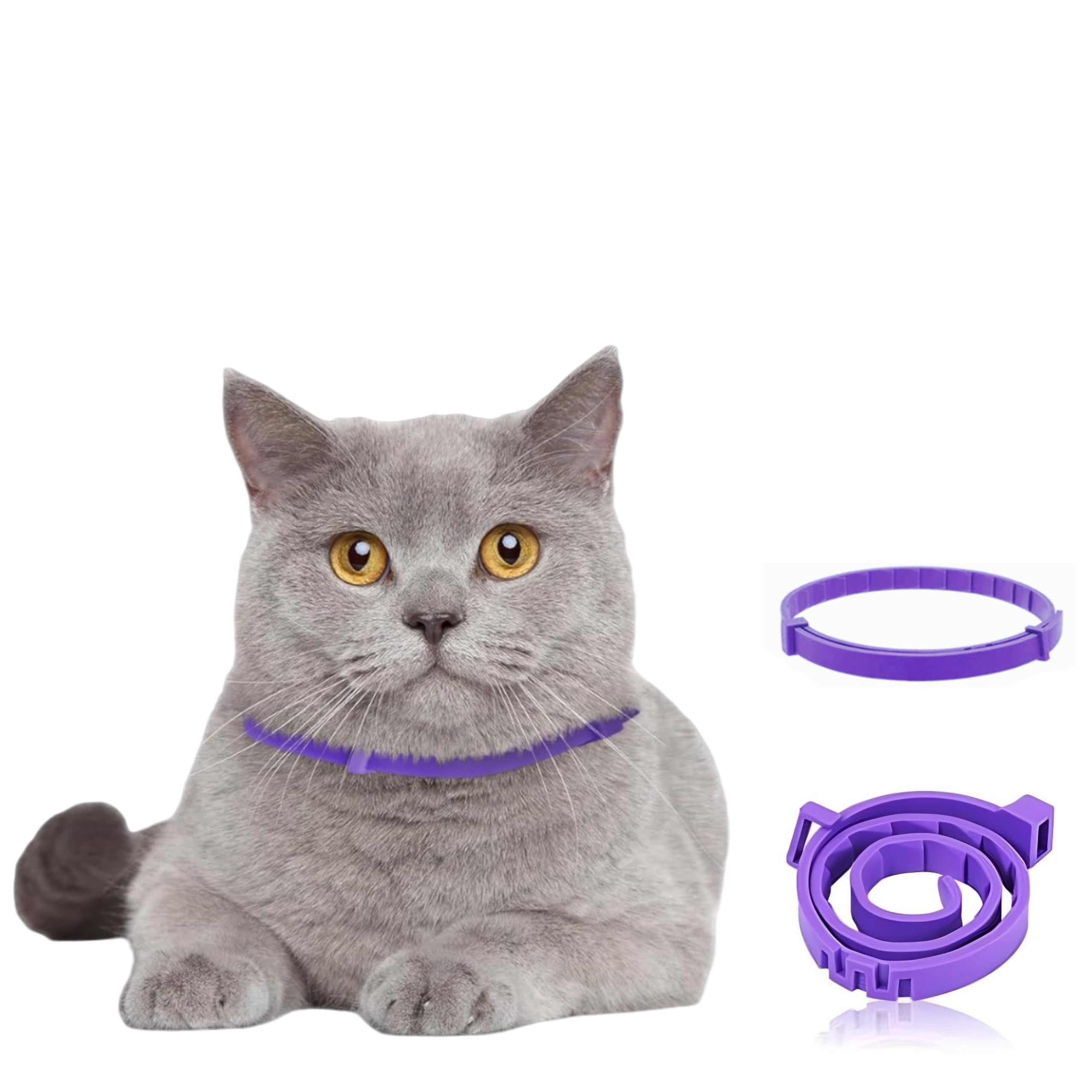 Calming Collar for Cats, for 60-Days with Fast-Acting Pheromones for Anxiety and Stress Relief, Provides Long-Lasting Comfort, Keeps Your Cat Calm and Relaxed, Lavender Aromatherapy