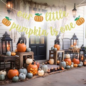 Our Little Pumpkin is One Banner, Little Pumpkin 1st Birthday Decorations, Fall First Birthday Banner, Fall Pumpkin Baby Shower Birthday Party Decorations, Gold Glitter