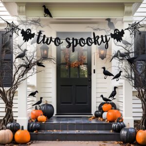 Two Spooky Banner, Halloween 2nd Birthday Party Decor, Two Spooky Birthday Decorations, Halloween Birthday Baby Shower Party Decorations, Black Glitter