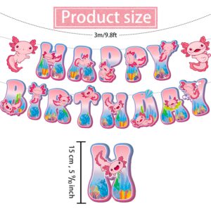 18PC Birthday Decorations Banner Hanging Swirls,Cute Party Decorations,Happy Birthday Banner for Boys Girls,Baby Shower Party Supplies Outdoor Indoor