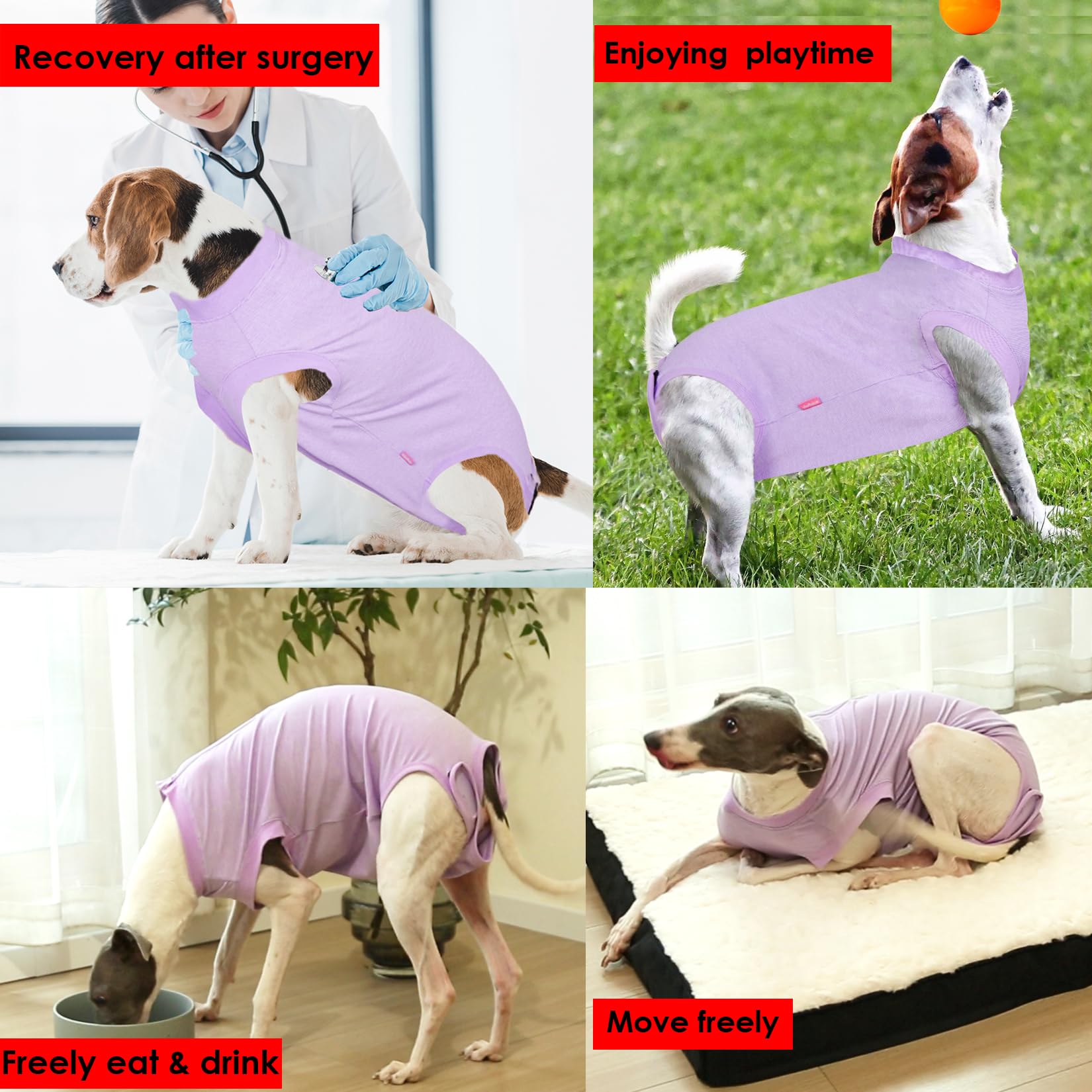 Wabdhaly Dog Surgery Recovery Suit for Small Female Spay,Anti Licking Dog Surgical Recovery Onesie,Fashion Striped Purple XSmall