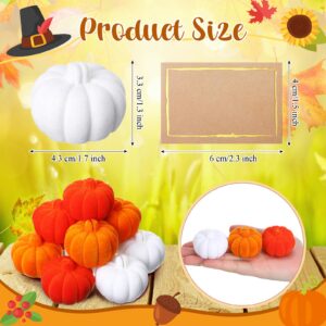 Wonderjune 12 Sets Artificial Pumpkins Harvest Fall Autumn Decoration with Card Thanksgiving Table Decor for Fall Themed Party(Orange, Brown, White)