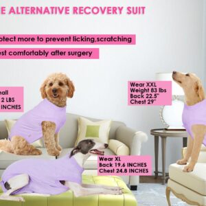 Wabdhaly Dog Surgery Recovery Suit for Small Female Spay,Anti Licking Dog Surgical Recovery Onesie,Fashion Striped Purple XSmall