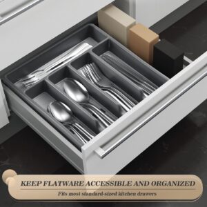 20-Piece Silverware Set with Organizer，Heavy Duty Stainless Steel Flatware Cutlery Tableware Set for 4，Includes 5-Compartment Silverware Tray with Cutlery Icons，First Apartment Kitchen Essentials