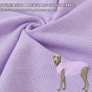 Wabdhaly Dog Surgery Recovery Suit for Small Female Spay,Anti Licking Dog Surgical Recovery Onesie,Fashion Striped Purple XSmall