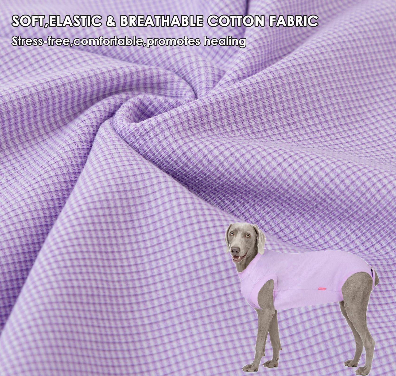 Wabdhaly Dog Surgery Recovery Suit for Small Female Spay,Anti Licking Dog Surgical Recovery Onesie,Fashion Striped Purple XSmall