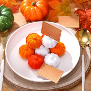 Wonderjune 12 Sets Artificial Pumpkins Harvest Fall Autumn Decoration with Card Thanksgiving Table Decor for Fall Themed Party(Orange, Brown, White)