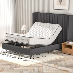 JAXPETY Adjustable Bed Frame Queen Size Electric Adjustable Bed Base with Head and Foot Incline Low-Noise Motor and Remote Control, Electric Bed Frame Fit for Most Mattress, Black