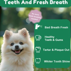 SANTKOL Dog Dental Powder - Dog Teeth Cleaning Powder with Green Tea, Lysozyme, Brown Algae - Dog Dental Care Targets Tartar, Plaque & Bad Breath - Dog Breath Freshener - for All Dogs, 80g