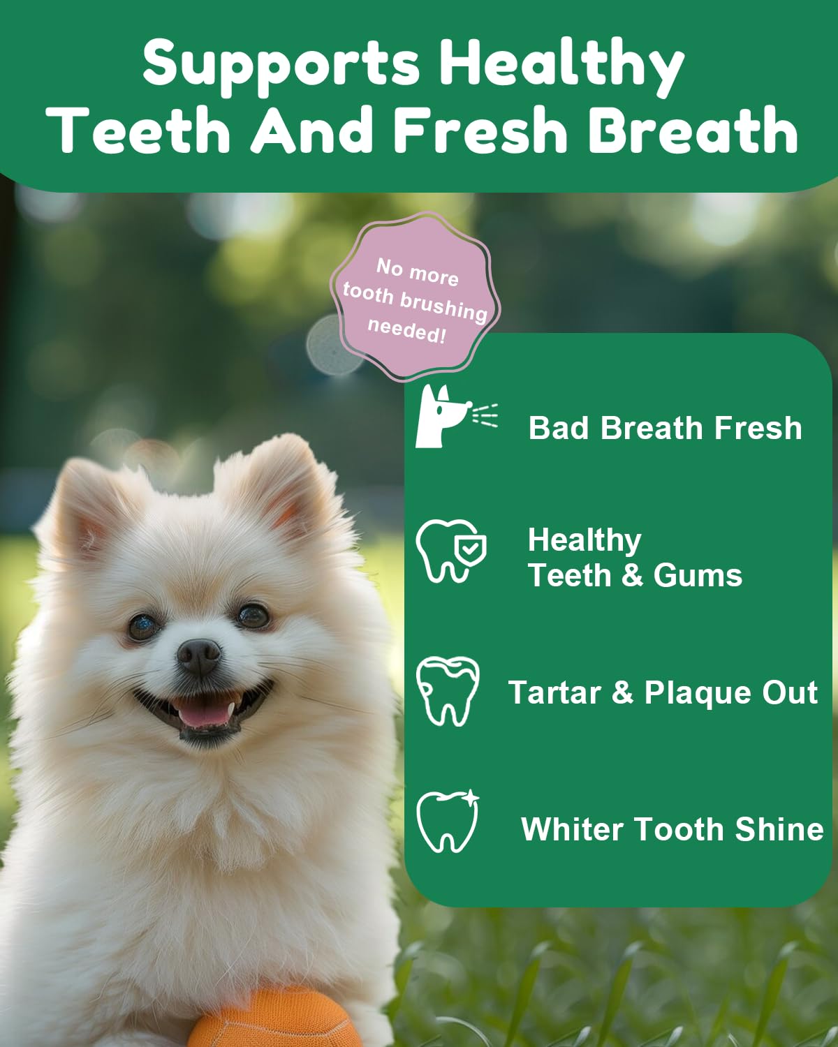 SANTKOL Dog Dental Powder - Dog Teeth Cleaning Powder with Green Tea, Lysozyme, Brown Algae - Dog Dental Care Targets Tartar, Plaque & Bad Breath - Dog Breath Freshener - for All Dogs, 80g