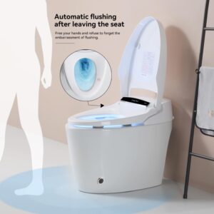 Smart Bidet Toilet with Heated Seat, Dual Flush, Warm Water and Dryer, Portable, Silver