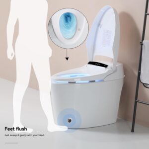 Smart Bidet Toilet with Heated Seat, Dual Flush, Warm Water and Dryer, Portable, Silver