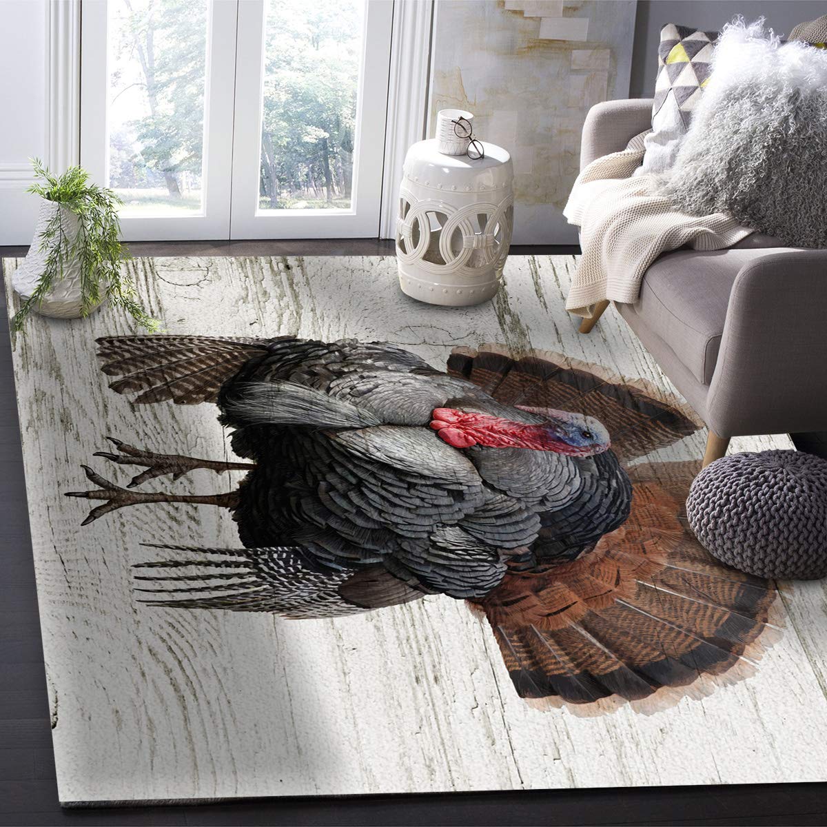 Area Rugs for Living Room, 2'x3' Thanksgiving Farm Turkey Bird Small Washable Rug Soft Durable Indoor Carpet Non Slip Floor Mat for Bedroom Dining Room Entryway