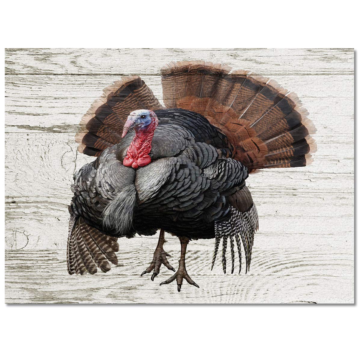 Area Rugs for Living Room, 2'x3' Thanksgiving Farm Turkey Bird Small Washable Rug Soft Durable Indoor Carpet Non Slip Floor Mat for Bedroom Dining Room Entryway