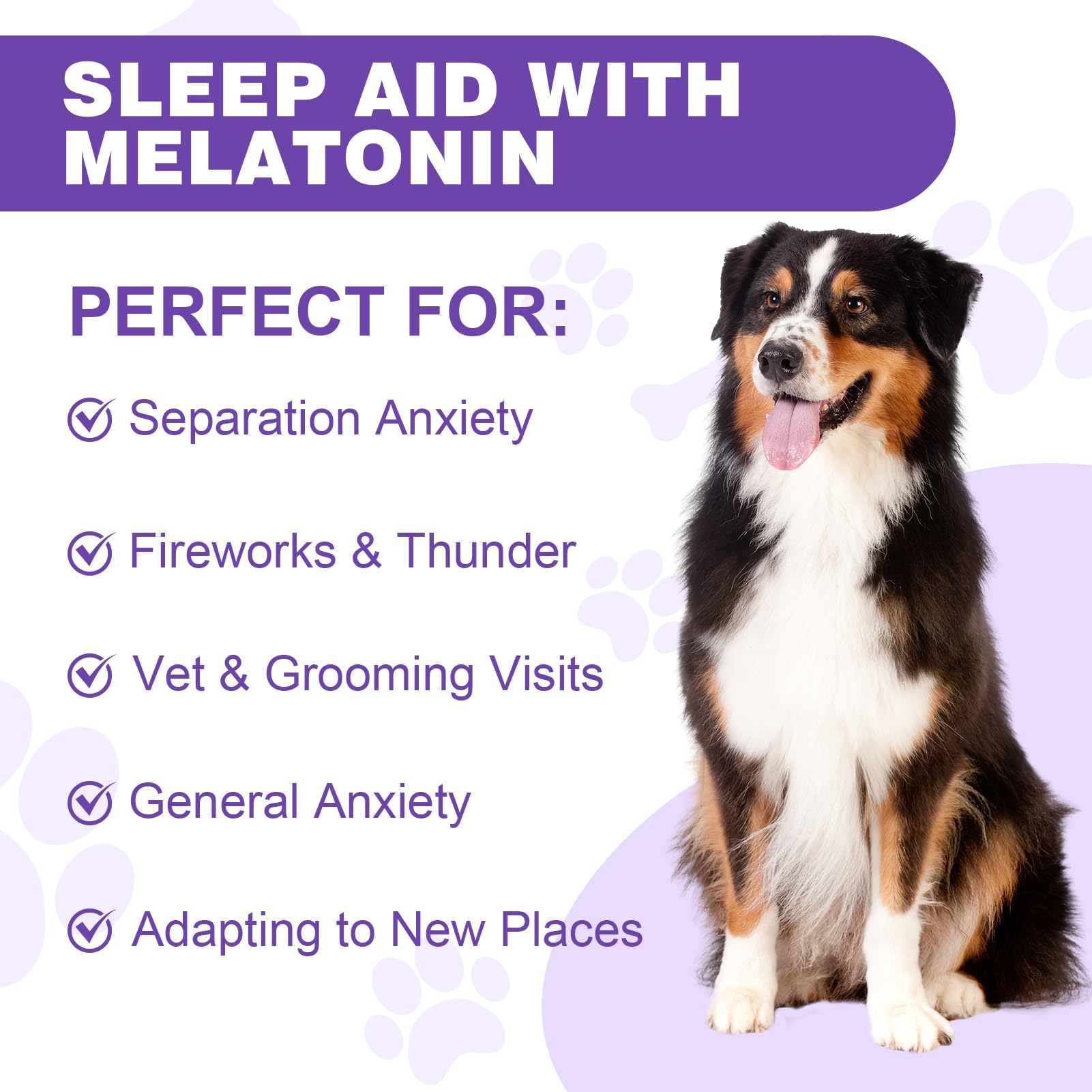 Melatonin for Dogs,Dog Melatonin,Dog Sleep Aid,Liquid Melatonin for Dogs,Calming for Dogs,Melatonin for Dogs Sleep Relieves Anxiety and Stress in Dogs, Helps Calm and Restful Sleep,Bacon Flavor