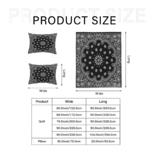 Denorn Black Paisley Bandana Bedding Sheet Bed 3-Pieces Duvet Cover Set Comfy 2 Pillowcases Queen(90"×90")