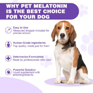 Melatonin for Dogs,Dog Melatonin,Dog Sleep Aid,Liquid Melatonin for Dogs,Calming for Dogs,Melatonin for Dogs Sleep Relieves Anxiety and Stress in Dogs, Helps Calm and Restful Sleep,Bacon Flavor