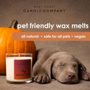 Pet Friendly Wax Melts | Pet Safe Wax Melts | All Natural Dog Safe Wax Melts | Non-Toxic Wax Melts | Pet Odor Eliminator | Pure Soy Wax Melts | Veterinarian Approved (Pumpkin Pecan Waffles)