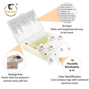 30 Prepared Microscope Slides with Specimens for Kids Students - Insects, for Biological Science Lab, Children's Science Education, Homeschooling Use