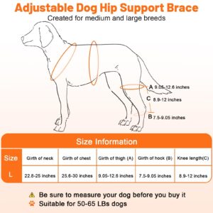 Heylaca Dog Knee Brace with Harness Adjustable Dog ACL Knee Brace for Luxating Patella, Cruciate Ligament Injury and Joint Pain, Rear Leg Braces for Medium & Large Breeds (Suitable for 50-65 LBs Dogs)